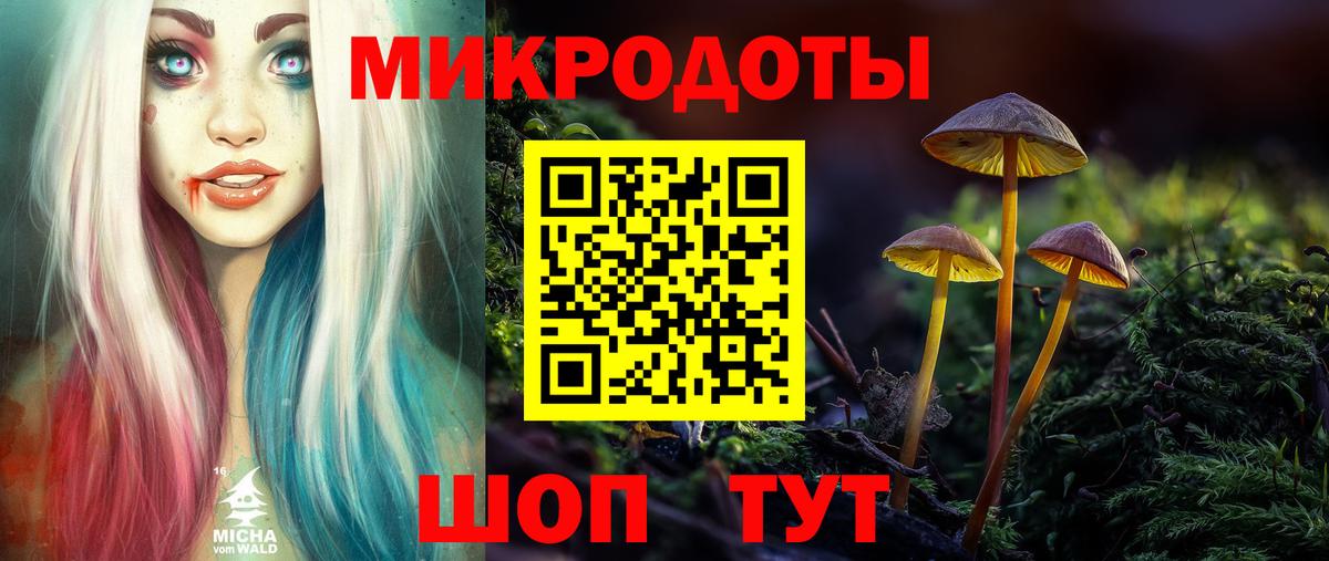 Псилоцибиновые грибы GOLDEN TEACHER Красный Сулин