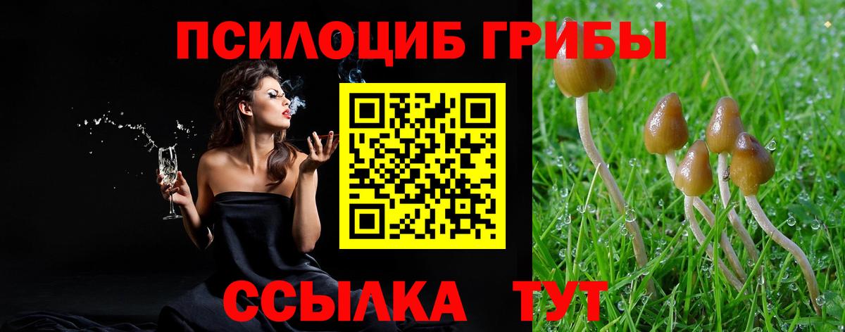COCAIN  Меф МЯУ МЯУ кристаллы  Красный Сулин  Канабис  Вход с VPN  Марихуана  Купить наркотики цена  Гашиш 