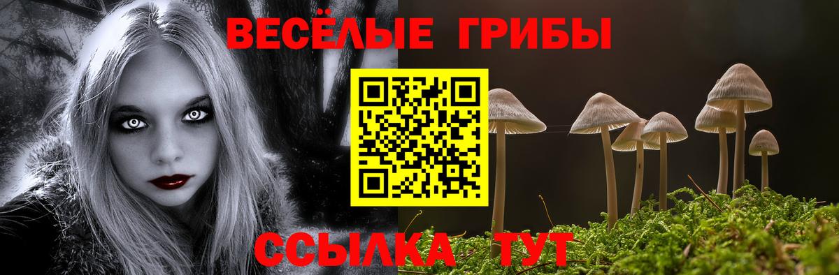 Красный Сулин  где продают наркотики  Вход с VPN  Галлюциногенные грибы MAGIC MUSHROOMS 